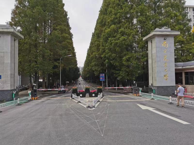 南京农业大学人行通道及车行通道